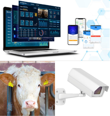 科技+金融赋能养殖农户 金惠家牧科开启智慧养殖新时代