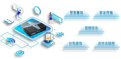 聚合路由器软硬件研发与国内外知名厂家盘点